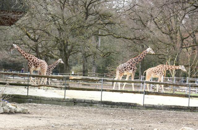 ,,Seht ihr irgendwo Menschen?"
