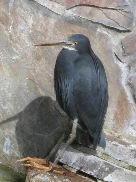 ,,Ist das trostlos!"