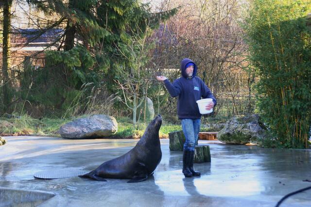 ,,Jetzt schmeiß doch schon!"