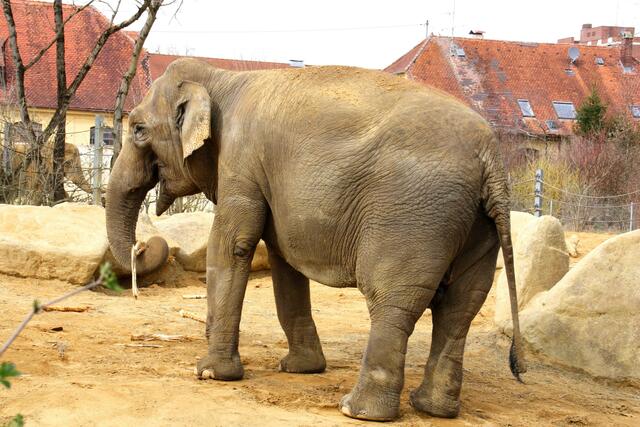 ,,Wie in der Wüste!"