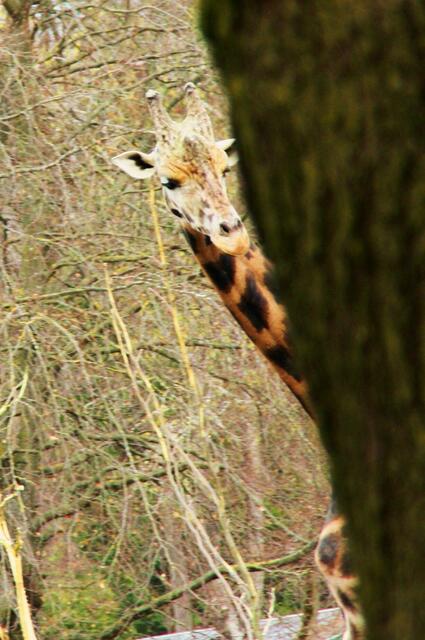 ,,Ich sehe auch niemanden!