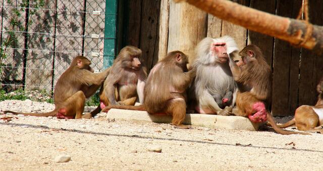 ,,So kann man natürlich aushalten!"