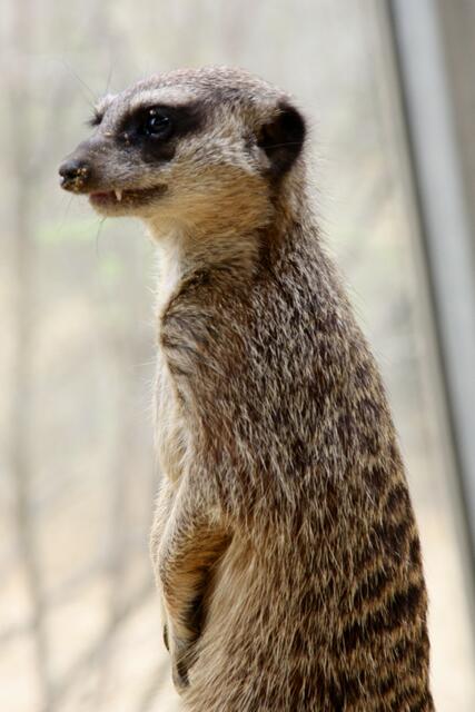 ,,Aufpassen ist auch uninteressant geworden!"