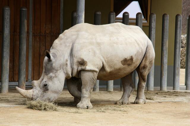 ,,Zum Glück gibt es noch was zum fressen!"
