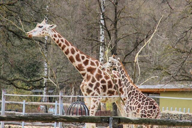 ,,Mamma, wann sehen mich die Leute?"