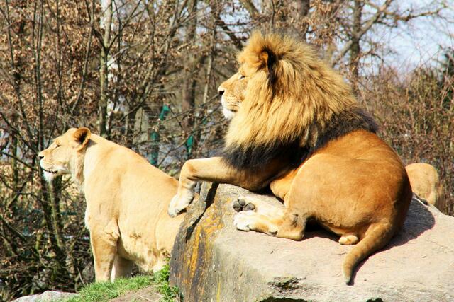 ,,Ich sehe auch niemanden, außerdem muss man aufpassen was man heutzutage frisst!"