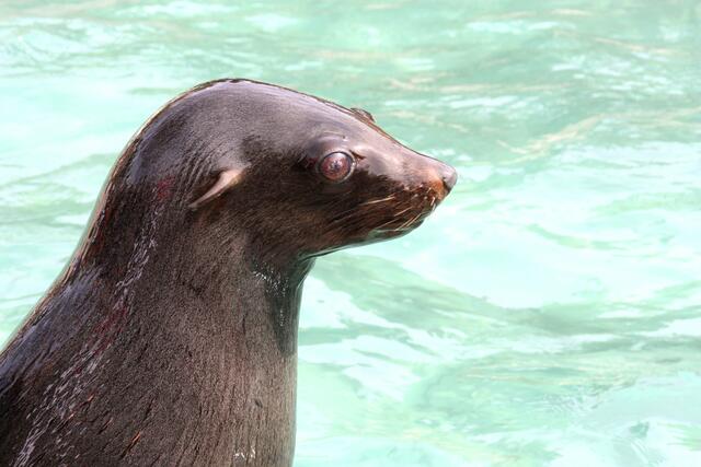 ,,Als die Menschen zuschauten war es interessanter!"