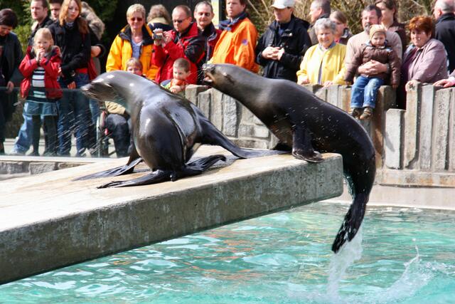 ,,Hau ab! Das ist mein Platz!"