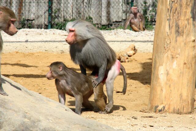 ,,Dann können wir ja weiter machen!"