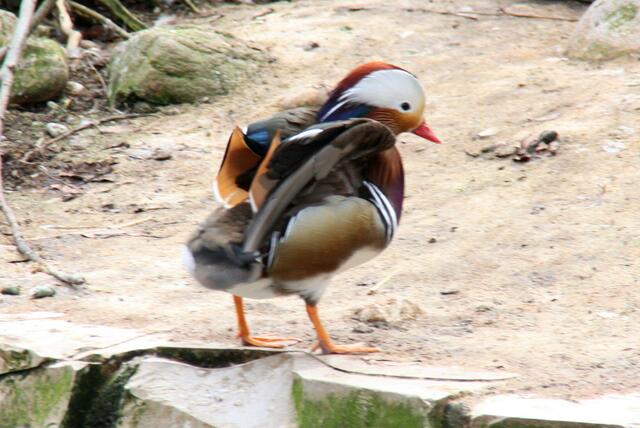 ,,Ich freue mich auf Menschen!"