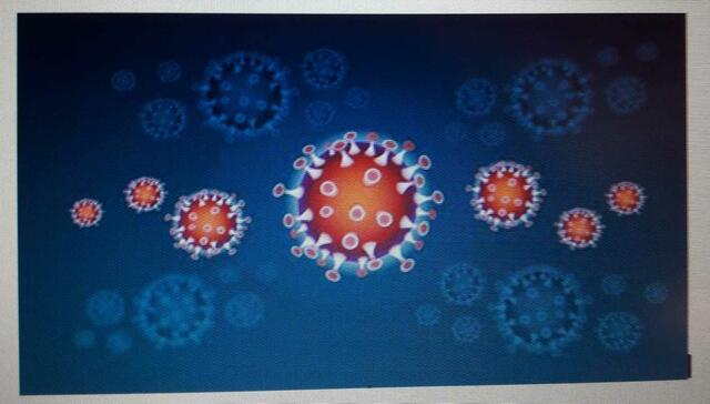 Covid 19 Coronavirus 2020