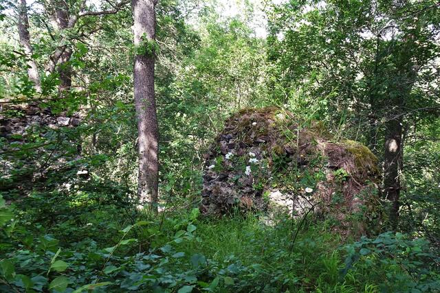 auf bzw. in der Heinrichsburg bei Mägdesprung (Archivbild)