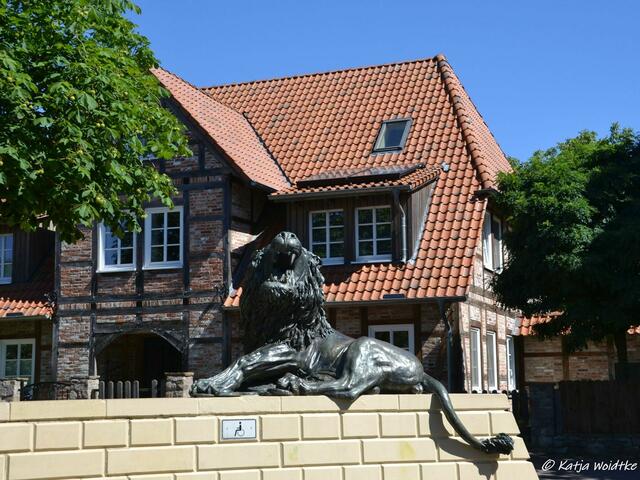 Suchbild quer durch Deutschland (Foto: Katja Woidtke)
