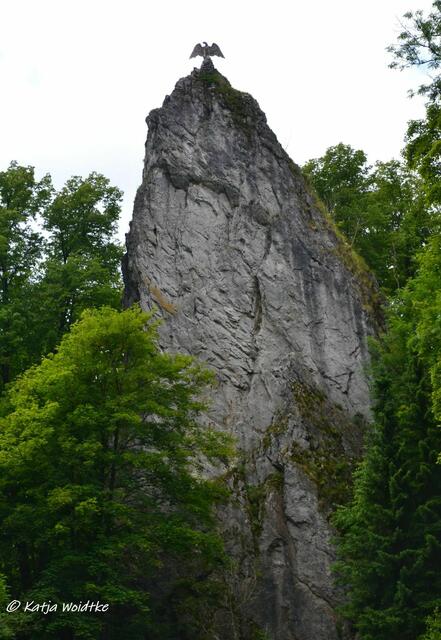 Suchbild quer durch Deutschland (Foto: Katja Woidtke)
