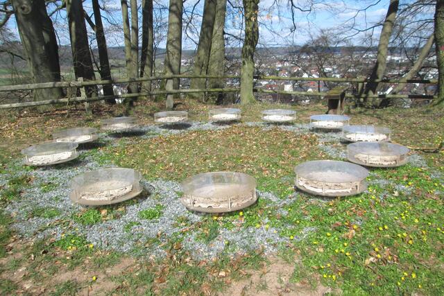 Stiches in Time - Gesamtansicht der Präsentation des Häkelprojekts am Battenberger Kunstweg.