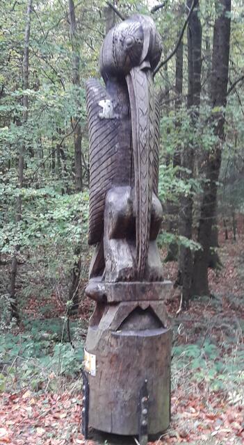 Der Feuervogel bei Wöltje Buche Kontinentalweg nach Afrika