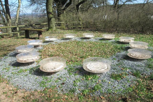 Die zwölf Häkelkreise am Battenberger Kunstweg und auf dem Ederhöhenweg