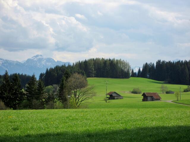 Grünes Land unter Wolken und der schneebedeckte "Säuling".