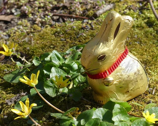 frische Luft schnuppern