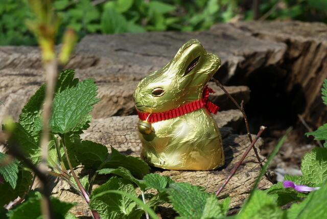 dann die Idee: Spaziergang und Thema Ostern umsetzen