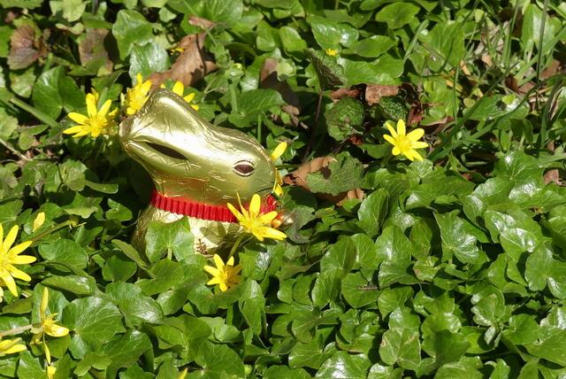 versteckt