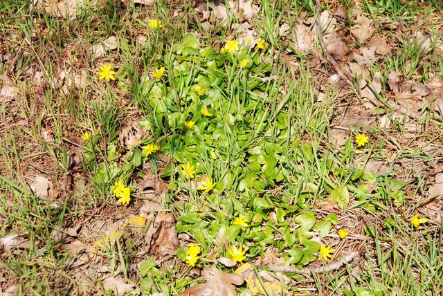 Überall frische Farben