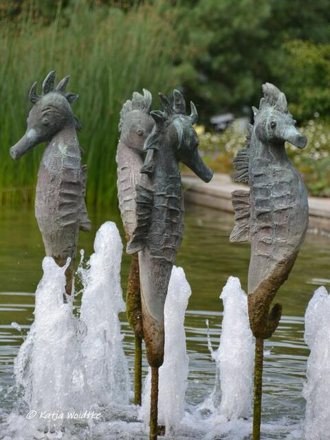 Suchbild quer durch Deutschland (Foto: Katja Woidtke)