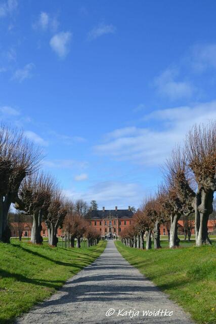 Suchbild quer durch Deutschland (Foto: Katja Woidtke)