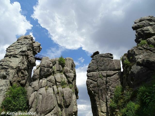 Suchbild quer durch Deutschland (Foto: Katja Woidtke)