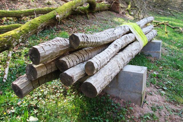 Holzbündel von Astrid E. Müller, dessen acht Holzstämme auf Steinblöcken gelagert sind.