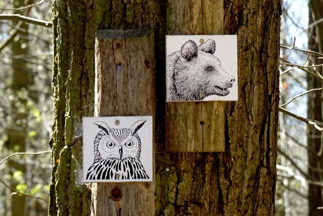 im Naturlehrpfad Scheerenberg