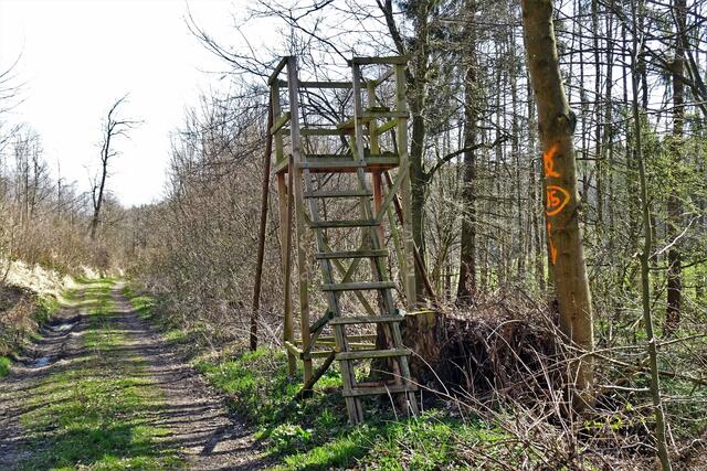 der untere Mühlenweg mit Hochsitz
