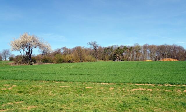 Partie am Ekaborner Bergbaugebiet