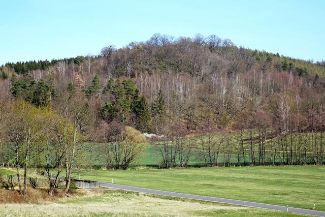 im Einetal, die Eine fließt zwischen den beiden Baumreihen