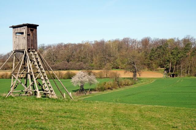 im Hintergrund das Altbaubergbaugebiet Eskaborn