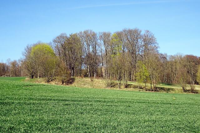 jetzt im Frühjahr kann man, von weitem, noch die Überreste von der Wüsten Kirche erkennen