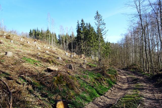 auch hier im Einetal sind viele noch freie Flächen entstanden