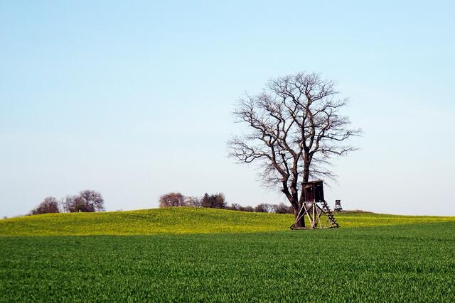 Partie an der Hochfläche zwischen Tilkerode und stangerode