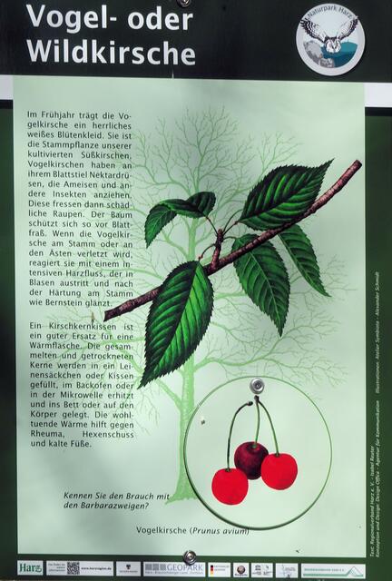 Naturlehrpfad Scheerenberg