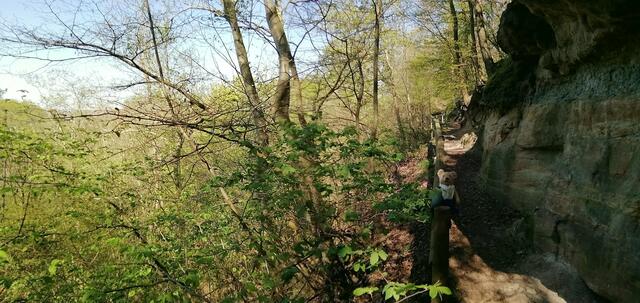 Mit O`Brain im Sternbruch Nebra - bitte sucht ihn mal,danke ! (19.4.2020)
