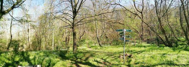 Mit O`Brain im Sternbruch Nebra - bitte sucht ihn mal,danke ! (19.4.2020)