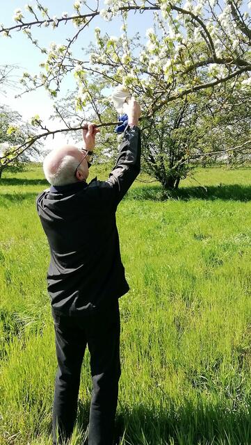 Erwischt bei der Vorbereitung des Bildes - Mit O`Brain im Sternbruch Nebra - bitte sucht ihn mal,danke ! (19.4.2020)