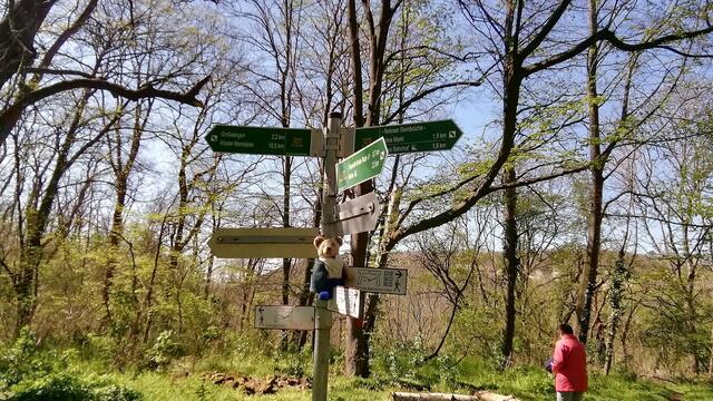 Auflösungsfoto - Mit O`Brain im Sternbruch Nebra - bitte sucht ihn mal,danke ! (19.4.2020)