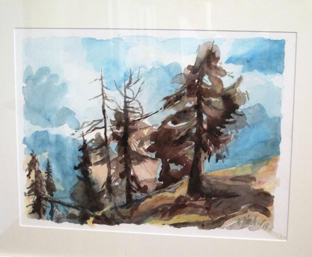 Heinz Zürcher: Bellwald, Richinen, Matte Wetterlerche, 31.08.2019.