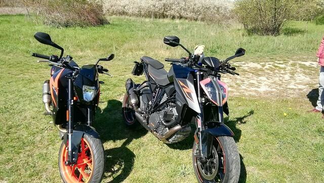 Mit O`Brain im Sternbruch Nebra - bitte sucht ihn mal,danke ! (19.4.2020)