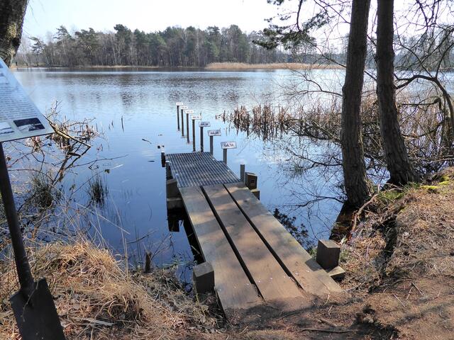 Die Kunstwerke fügen sich alle gut in die natürliche Umgebung ein.