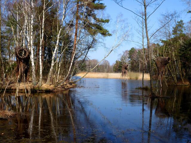 Herrliche Spiegelungen im Wasser
