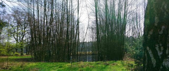 Ein absolut runder Teich gegenüber vom Autobahnsee