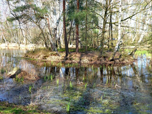 Die Insel ist nun wieder gut zu sehen.