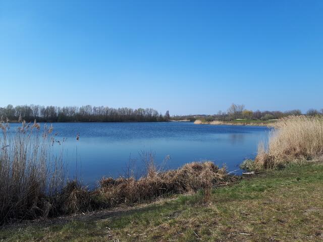 05.04.2020 - Am Allermöher See